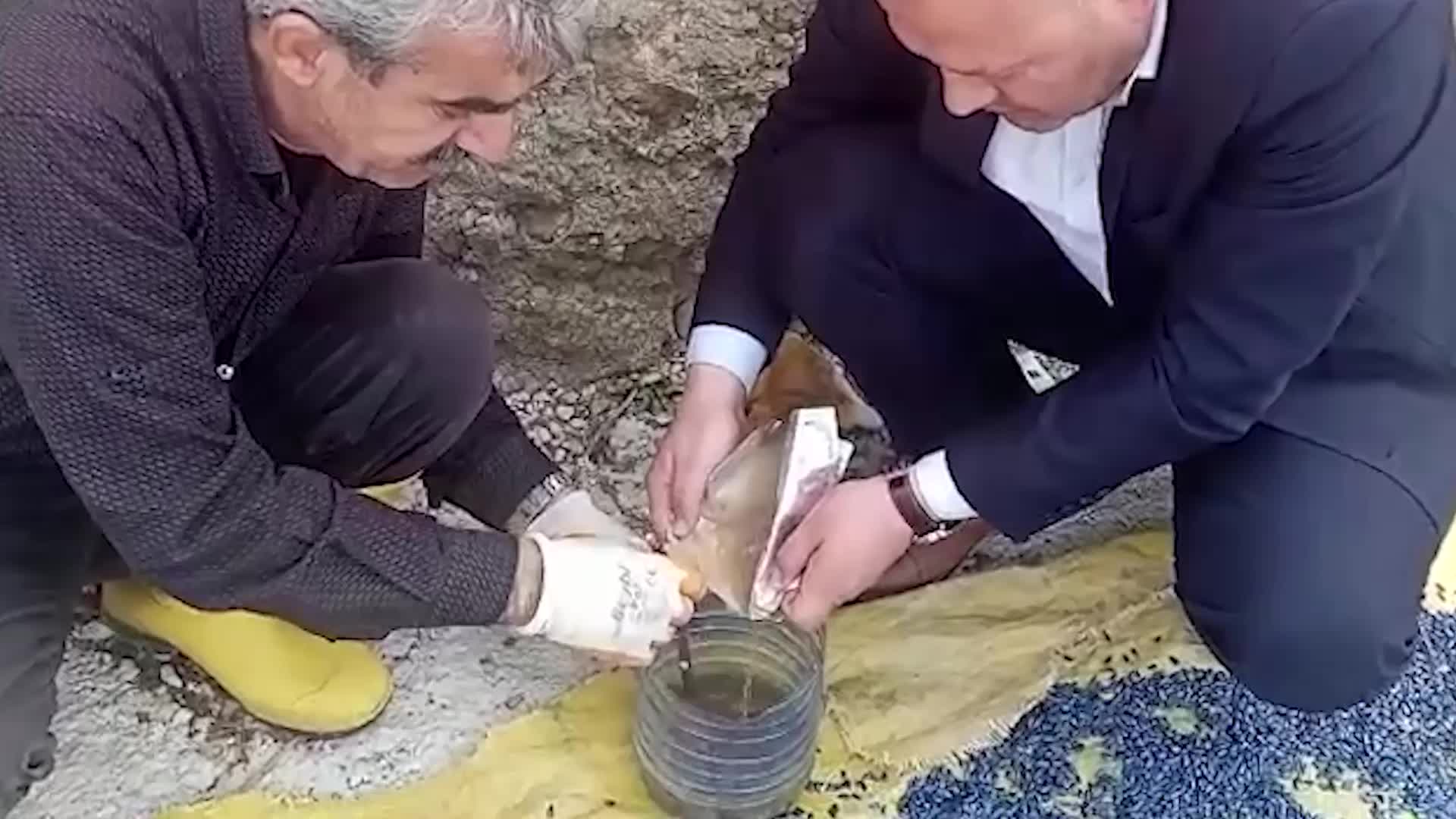 YOZGAT’TA TARIMSAL ÜRETİMDE VERİM VE KALİTEYİ ARTIRAN MİKORİZA MANTARI KULLANIMI YAYGINLAŞTIRILIYOR