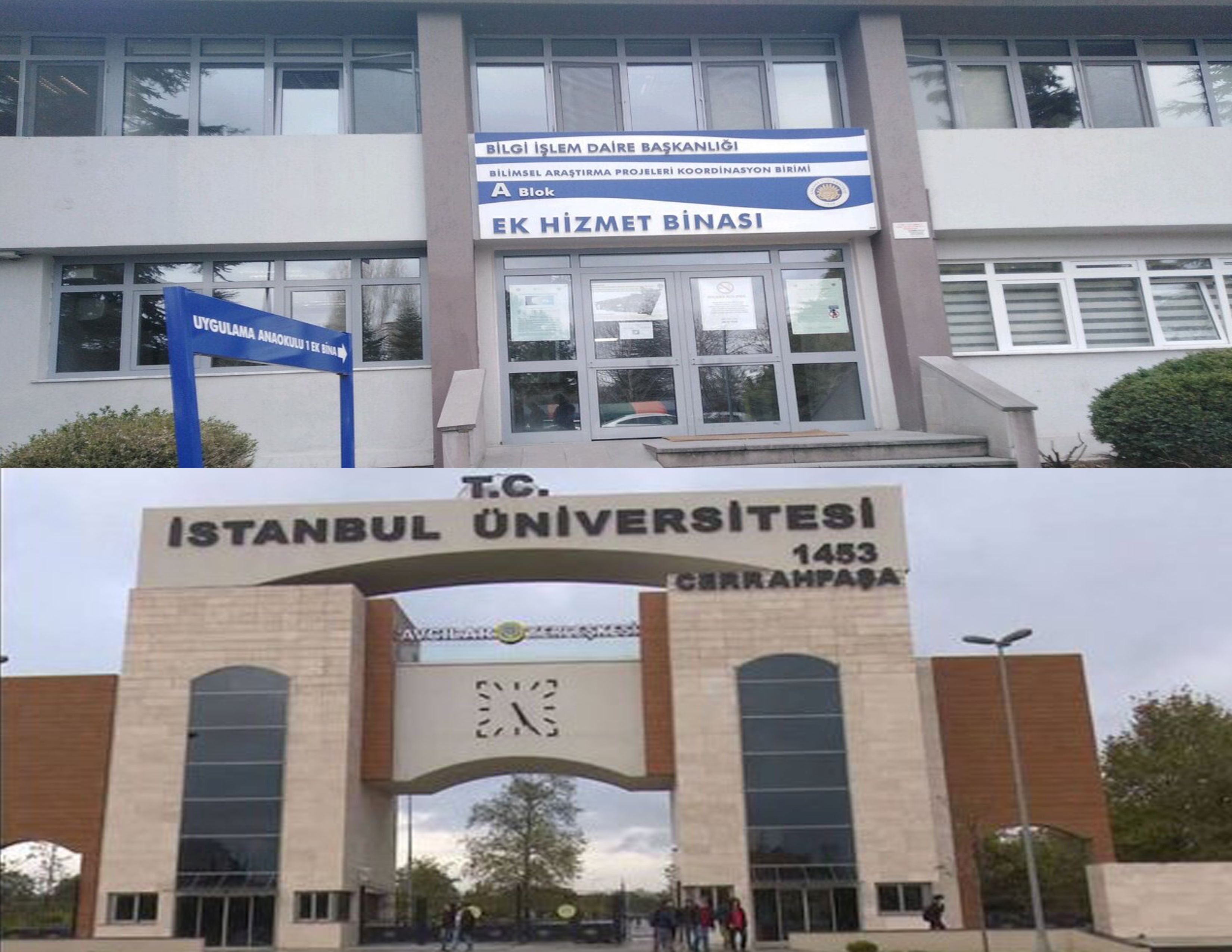 ANKARA VE İSTANBUL ÜNİVERSİTESİTELERİNDE FARE DAĞ DOĞURDU