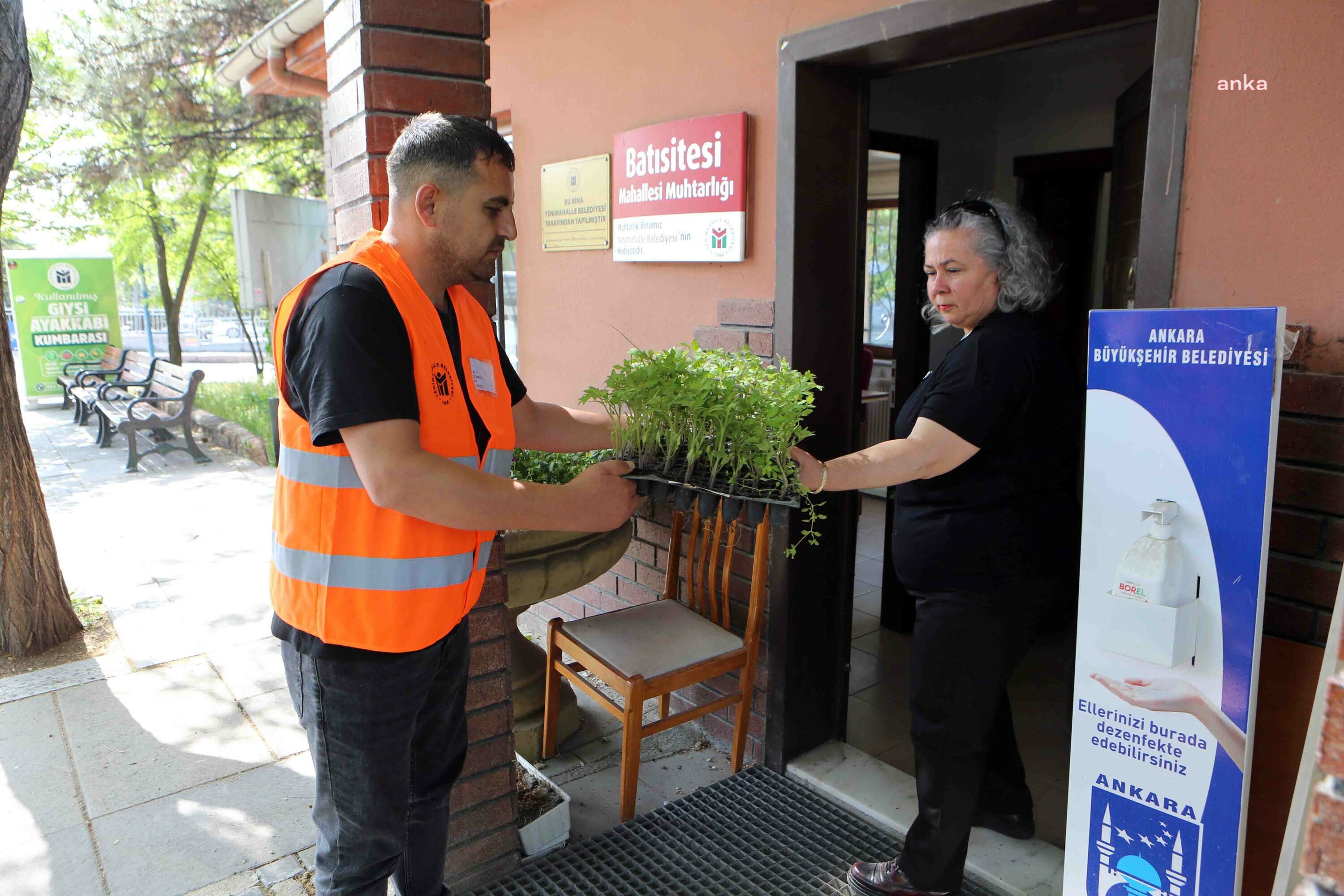 YENİMAHALLE BELEDİYESİ’NDEN ÜCRETSİZ FİDE DAĞITIMI