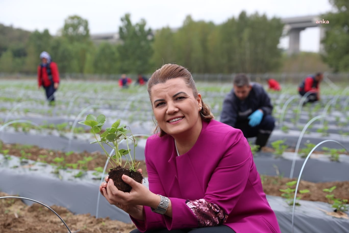 İZMİT BELEDİYESİ’NİN KURDUĞU ÇİLEK KÖY, ÖĞRENCİLERİN EĞİTİMİNE KATKI SUNACAK