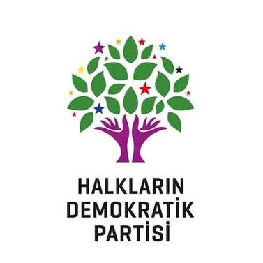 HDP’Lİ MERAL DANIŞ BEKTAŞ’TAN, ERDOĞAN’A: “MÜJDELİ HABER, SENİN GİTMEN OLUR”