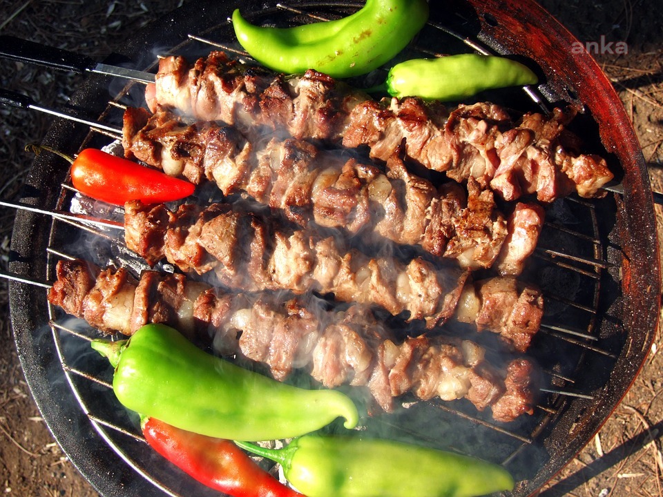 ANKARA'DA MANGAL YASAĞI