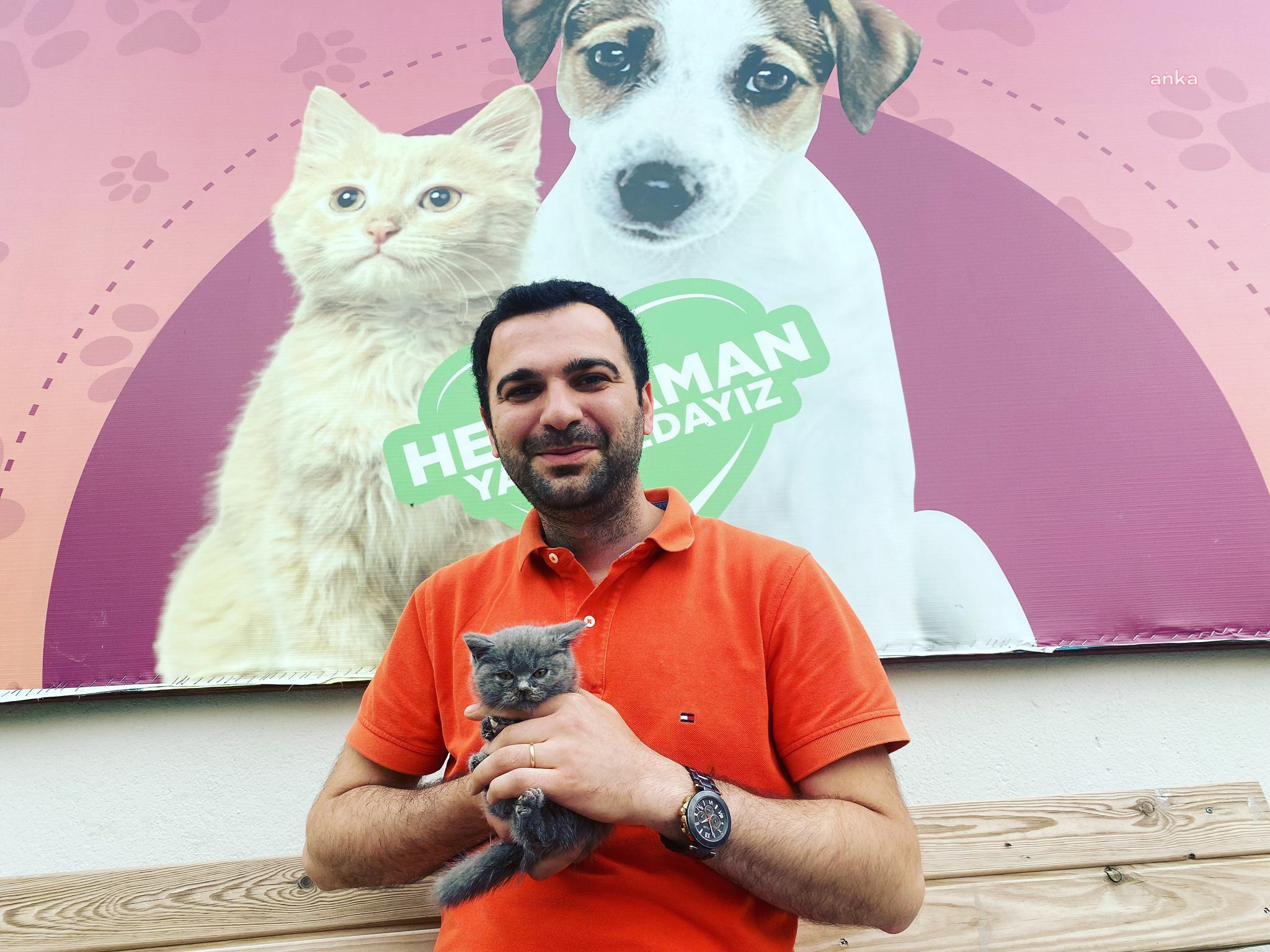 DEPREMZEDE KEDİLER YENİ EVLERİNE KAVUŞTU