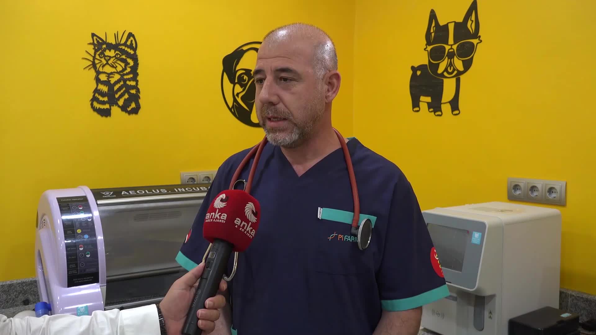 AKSARAY VETERİNER HEKİMLER ODASI BAŞKANI YILDIZ: "ÇİP UYGULAMASI İNSAN SAĞLIĞI AÇISINDAN ÇOK ÖNEMLİ"