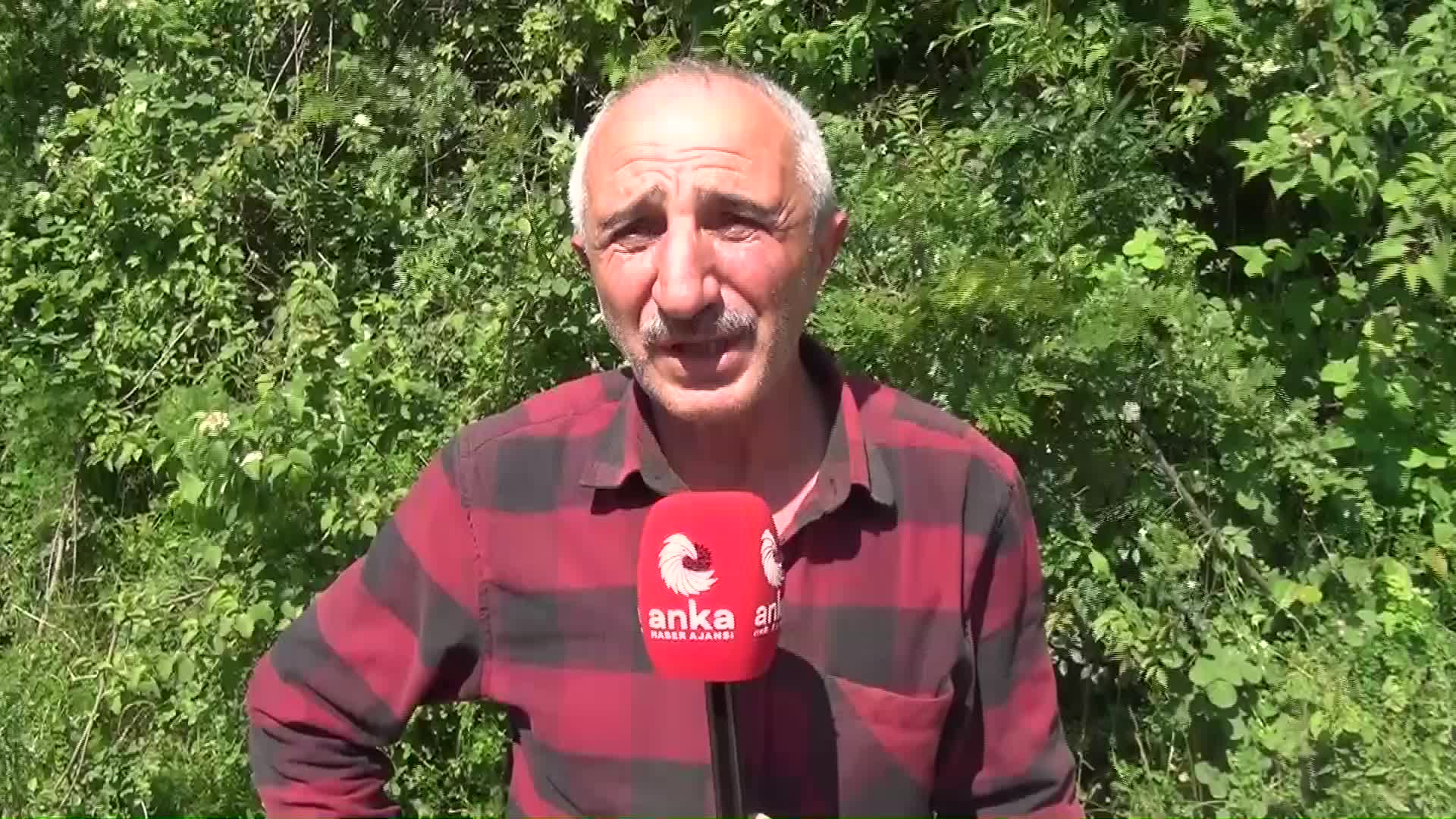 SİNOPLU ÇELTİK ÜRETİCİSİ BAŞOĞLU: “BENİM 300 LİRAYA ALDIĞIM İLACA ŞİMDİ 900 LİRA DİYORLAR”