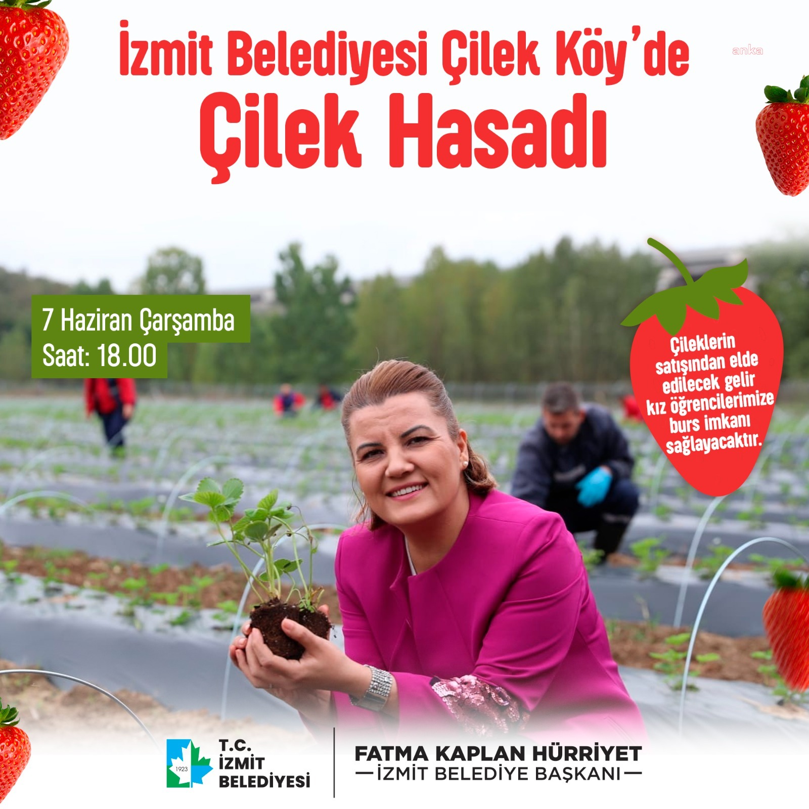 İZMİT BELEDİYESİ, ÇİLEK KÖYÜ’NDE İLK HASADI YARIN YAPIYOR