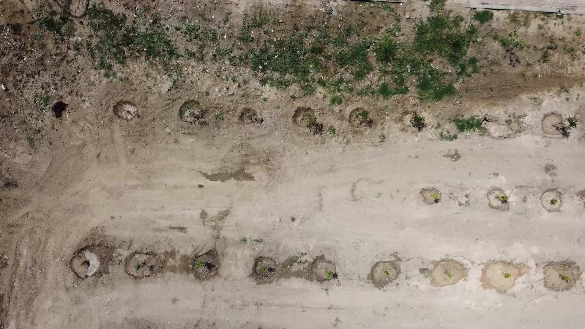 TARSUS’TA YEŞİL ALAN MİKTARI ARTIYOR