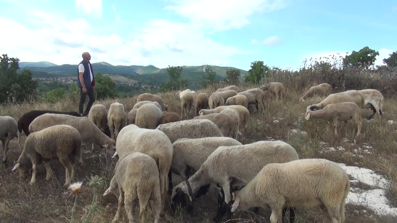 BERGAMALI BESİCİ: "KURBANLIK FİYATI 8-9 BİN ARASINDA. TABİİ Kİ VATANDAŞA PAHALI GELİYOR"