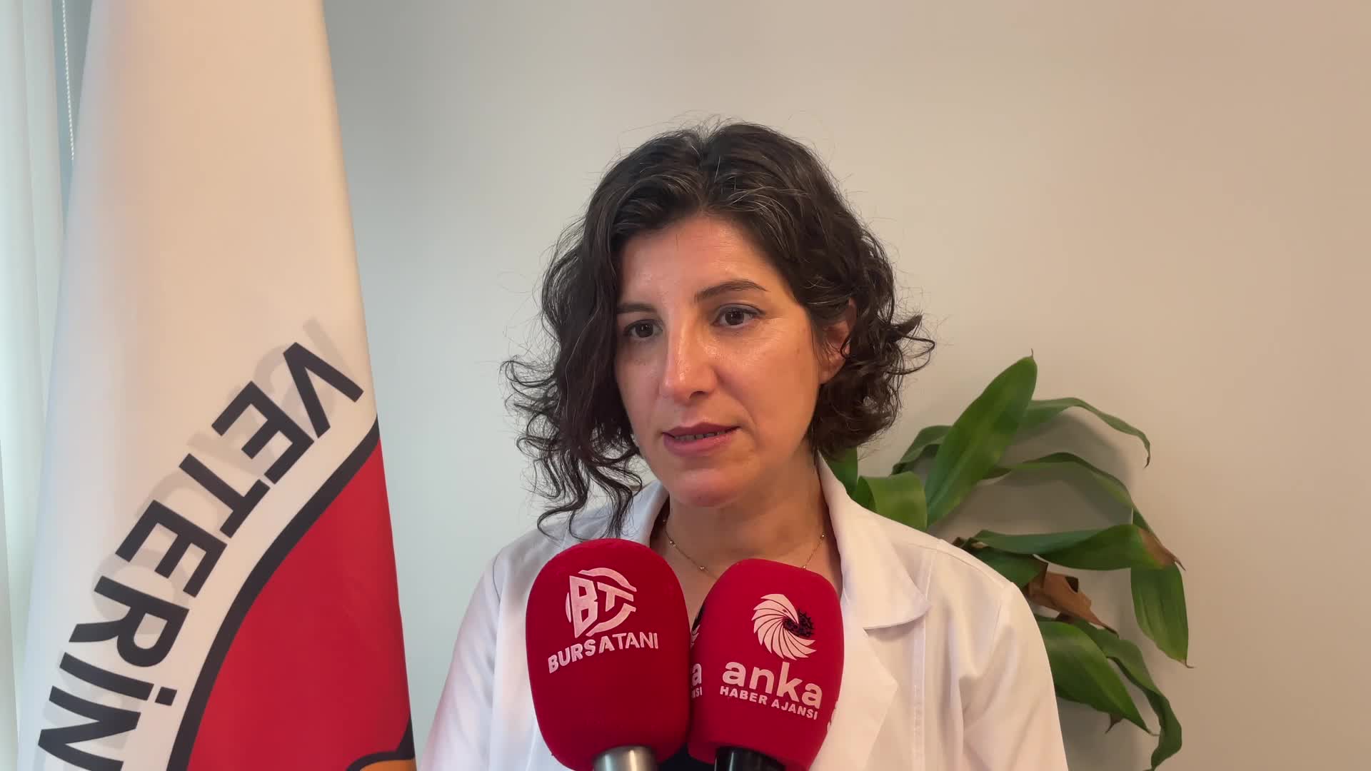 BURSA VETERİNER HEKİMLERİ ODASI BAŞKANI BAYSAL: "BAZI KURBAN PAZARLARINDA ŞAP HASTALIĞINA RASTLANDI. VETERİNER HEKİM ONAYLI HAYVAN ALINMALI"
