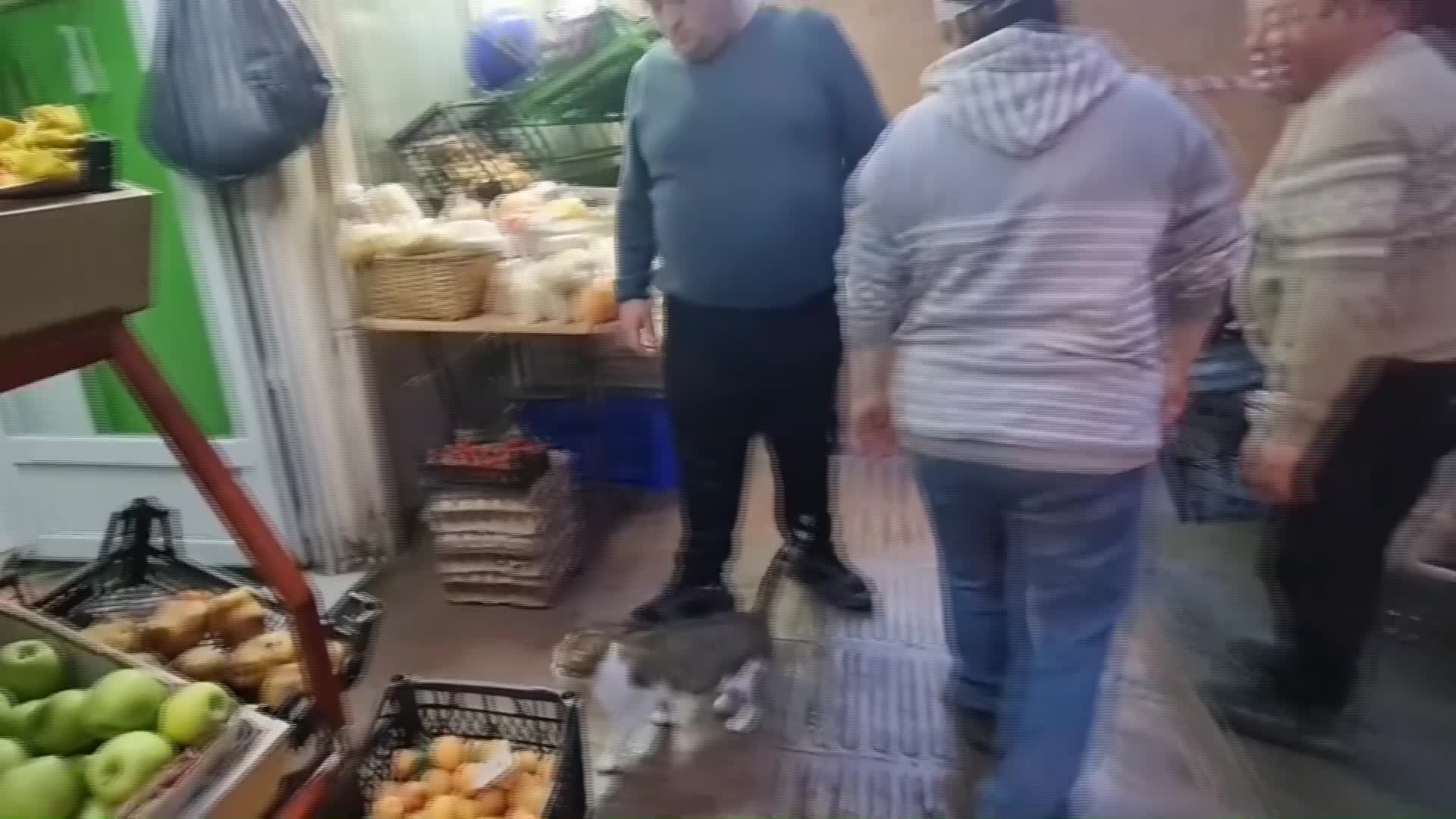 SİNOP’TA YAVRULARI ÖLEN ANNE KEDİ, TERK EDİLEN 4 YAVRUYU SAHİPLENDİ