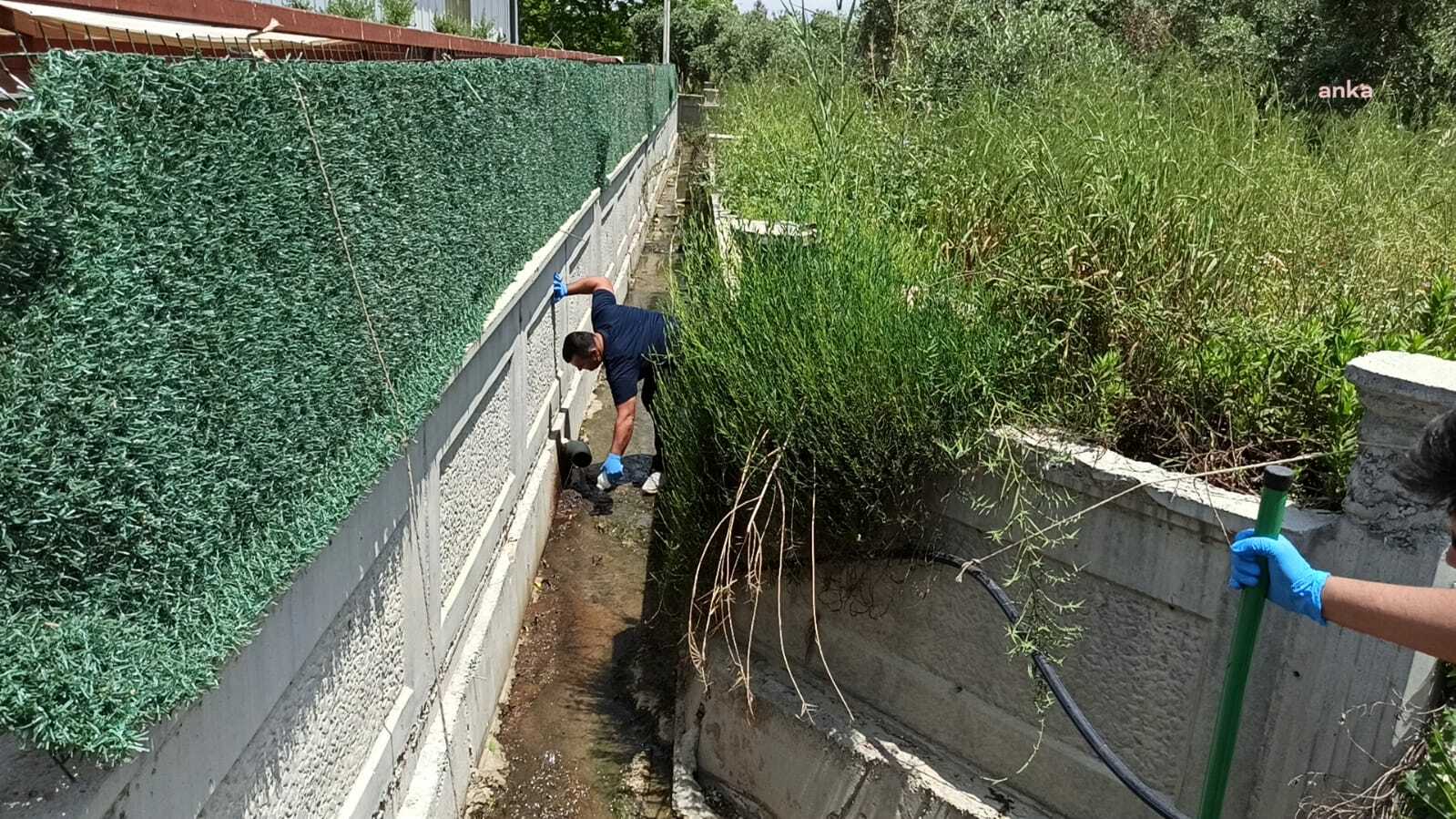 ANTALYA BÜYÜKŞEHİR VE ASAT, MÜSİLAJI ÖNLEME ÇALIŞMALARINA KATKI VERMEYİ SÜRDÜRÜYOR