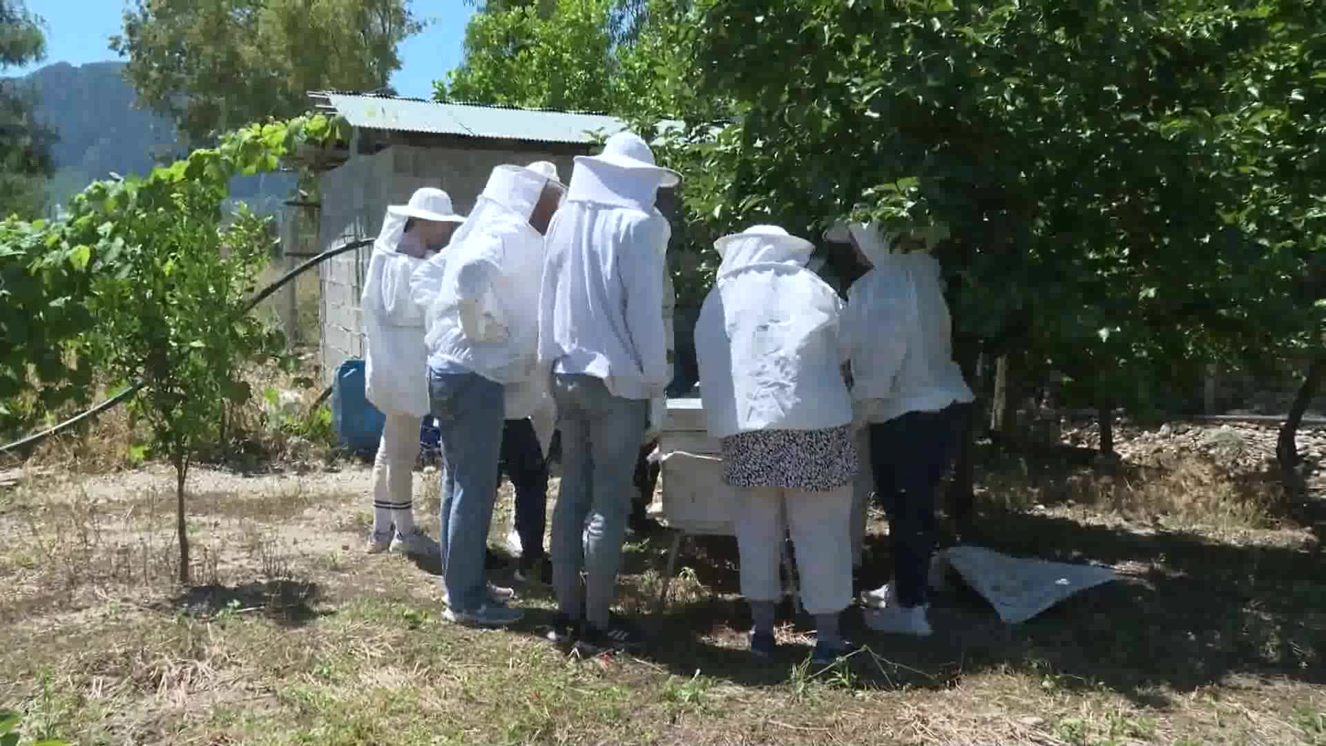 ANTALYA BÜYÜKŞEHİR KURSİYERLERİ KOVAN BAŞINDA ARICILIK EĞİTİMİ ALDI