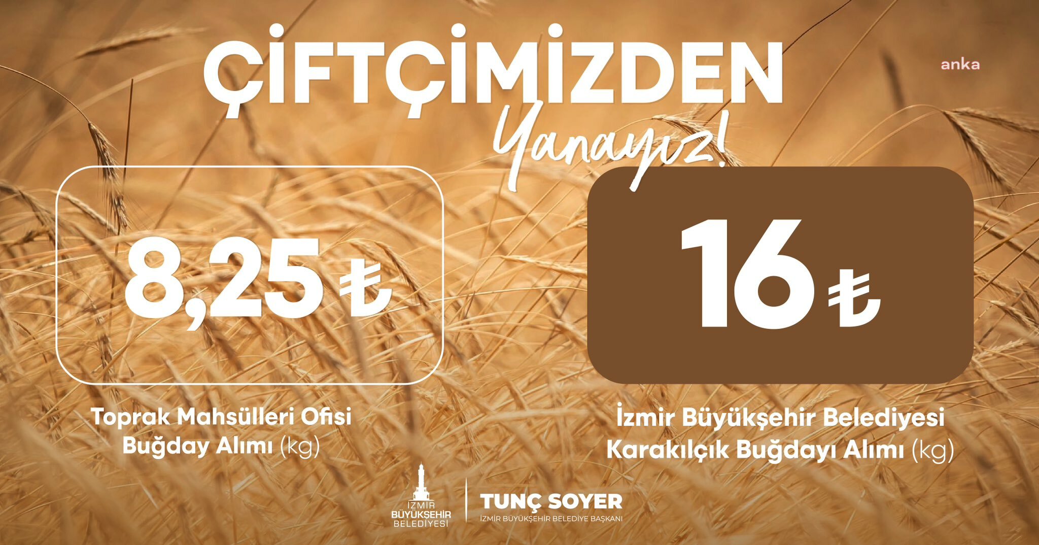 BAŞKAN SOYER’DEN ÇİFTÇİLERE KARAKILÇIK BUĞDAYI İÇİN 16 LİRA FİYAT MÜJDESİ