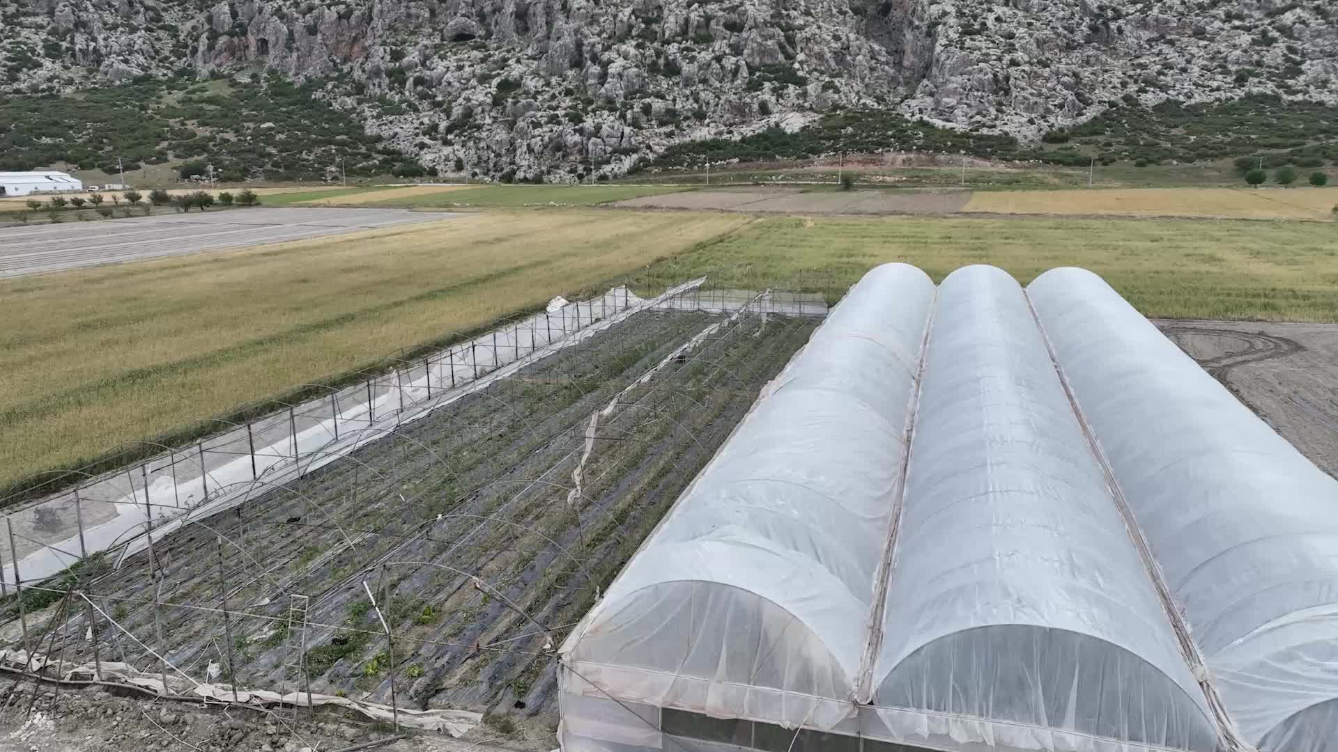 ANTALYA BÜYÜKŞEHİR BELEDİYESİ, SERASI ZARAR GÖREN KORKUTELİLİ ÜRETİCİLERE NAYLON YARDIMI YAPTI