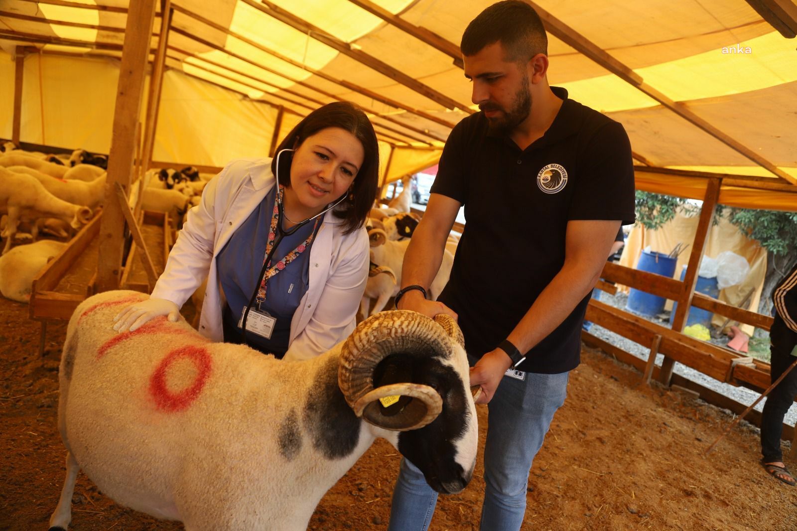 KARTAL’DA KURBAN BAYRAMI HAZIRLIKLARI DEVAM EDİYOR
