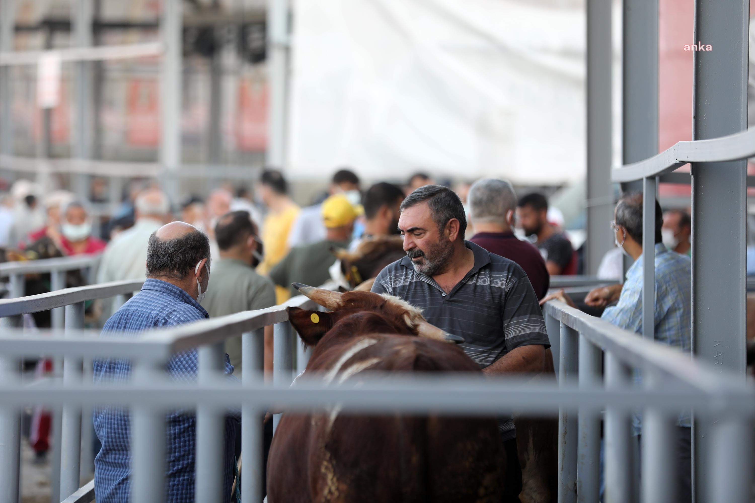 YENİMAHALLE’DE KURBAN KESİM YERLERİ BELİRLENDİ