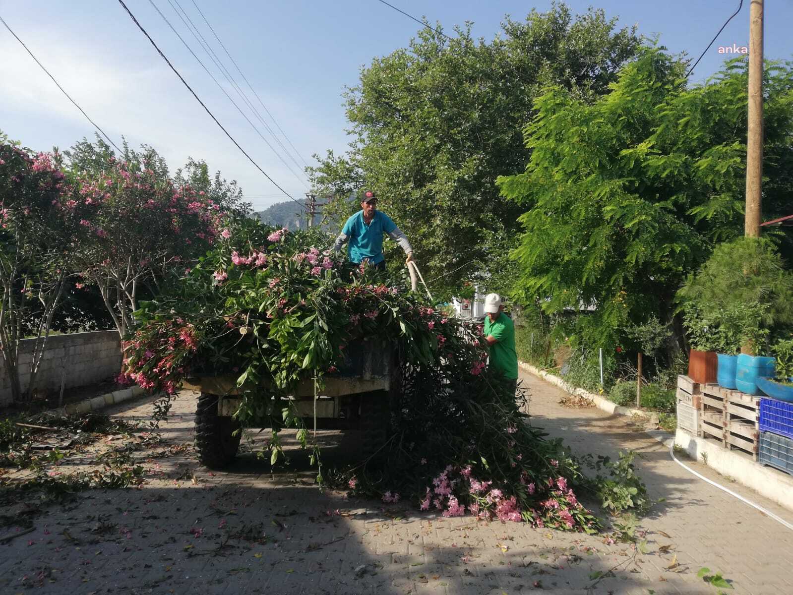 GERMENCİK BELEDİYESİ’NDEN İLÇE GENELİNDE TEMİZLİK ÇALIŞMASI