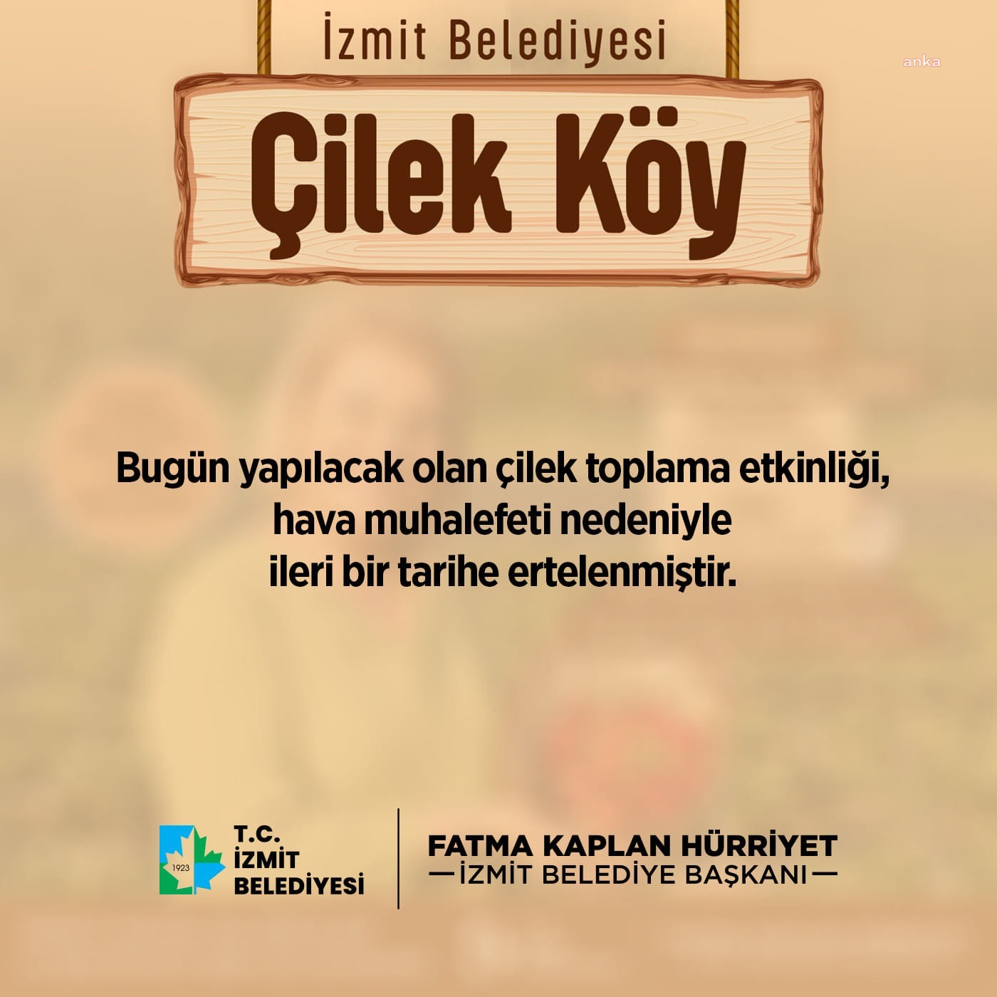 İZMİT BELEDİYESİ’NİN ÇİLEK HASADI PROGRAMI ERTELENDİ