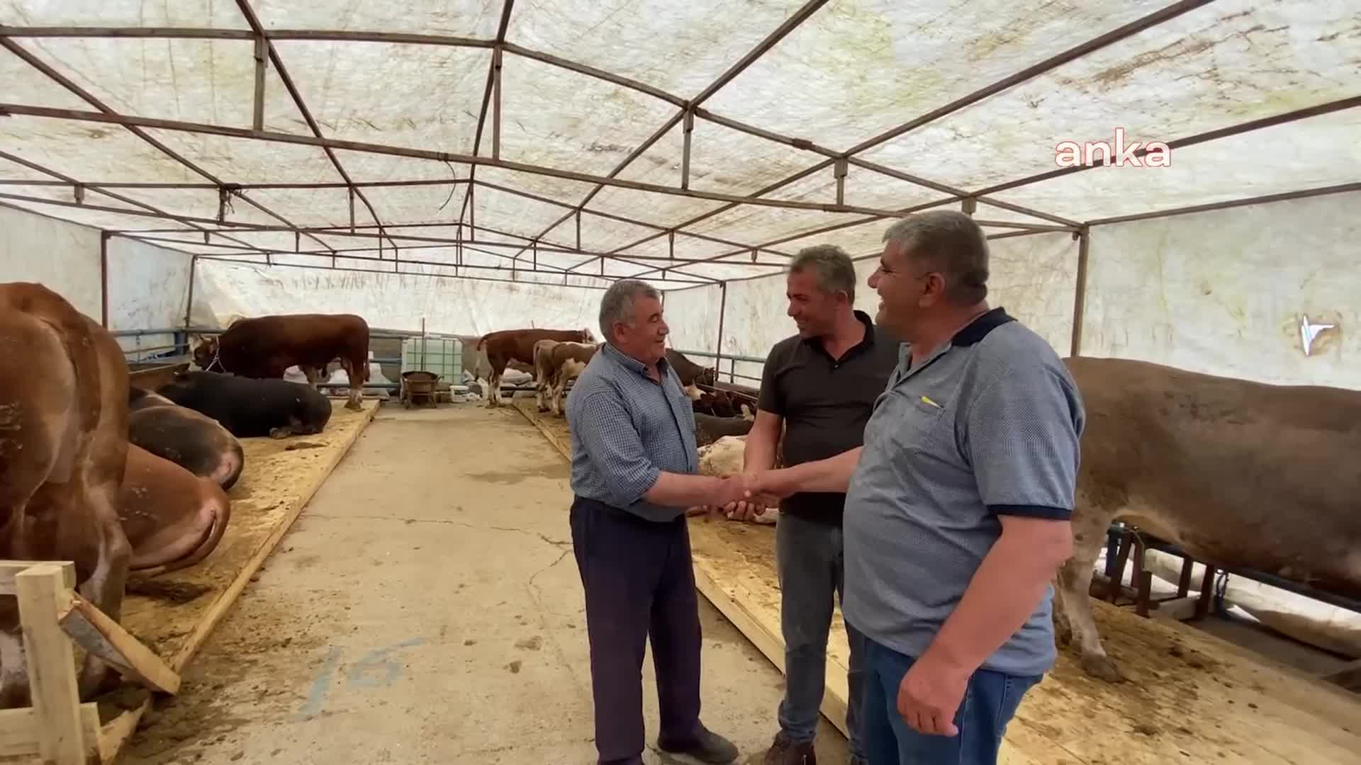 YOZGAT ZİRAAT ODASI BAŞKANI AÇIKGÖZ, ÇEVRE İLLERDE GÖRÜLEN ŞAP HASTALIĞINA KARŞI ÖNLEM ALINMASINI İSTEDİ: “ŞAP GİRDİĞİ GÜN HEPİMİZİN OCAĞI BATAR”