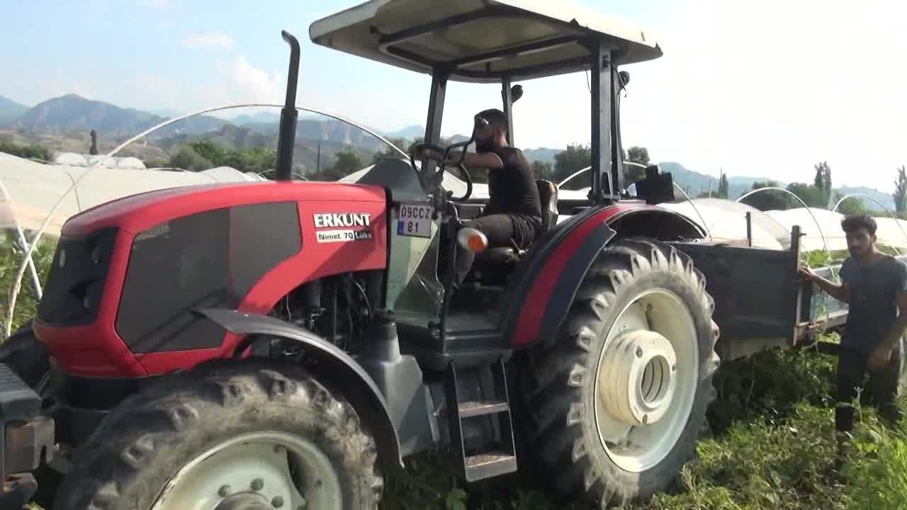 AYDINLI KARPUZ ÜRETİCİSİ: "BİR RÖMORK KARPUZ DOLDURUYORUZ, İŞÇİ YEVMİLERİNİ KARŞILAMIYOR"