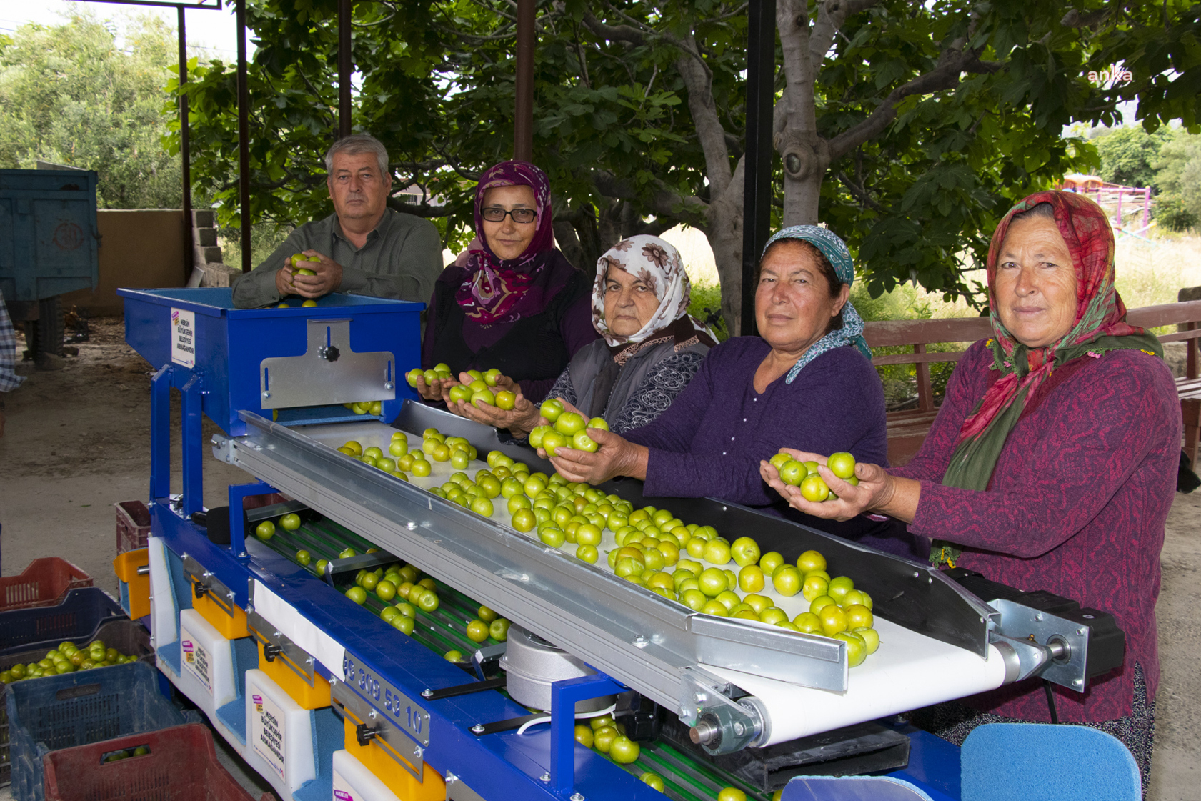 MUTLU ÜRETİCİ, MERSİN BÜYÜKŞEHİR'İN DESTEKLERİYLE HEM ZAMANDAN HEM İŞ GÜCÜNDEN KAZANIYOR