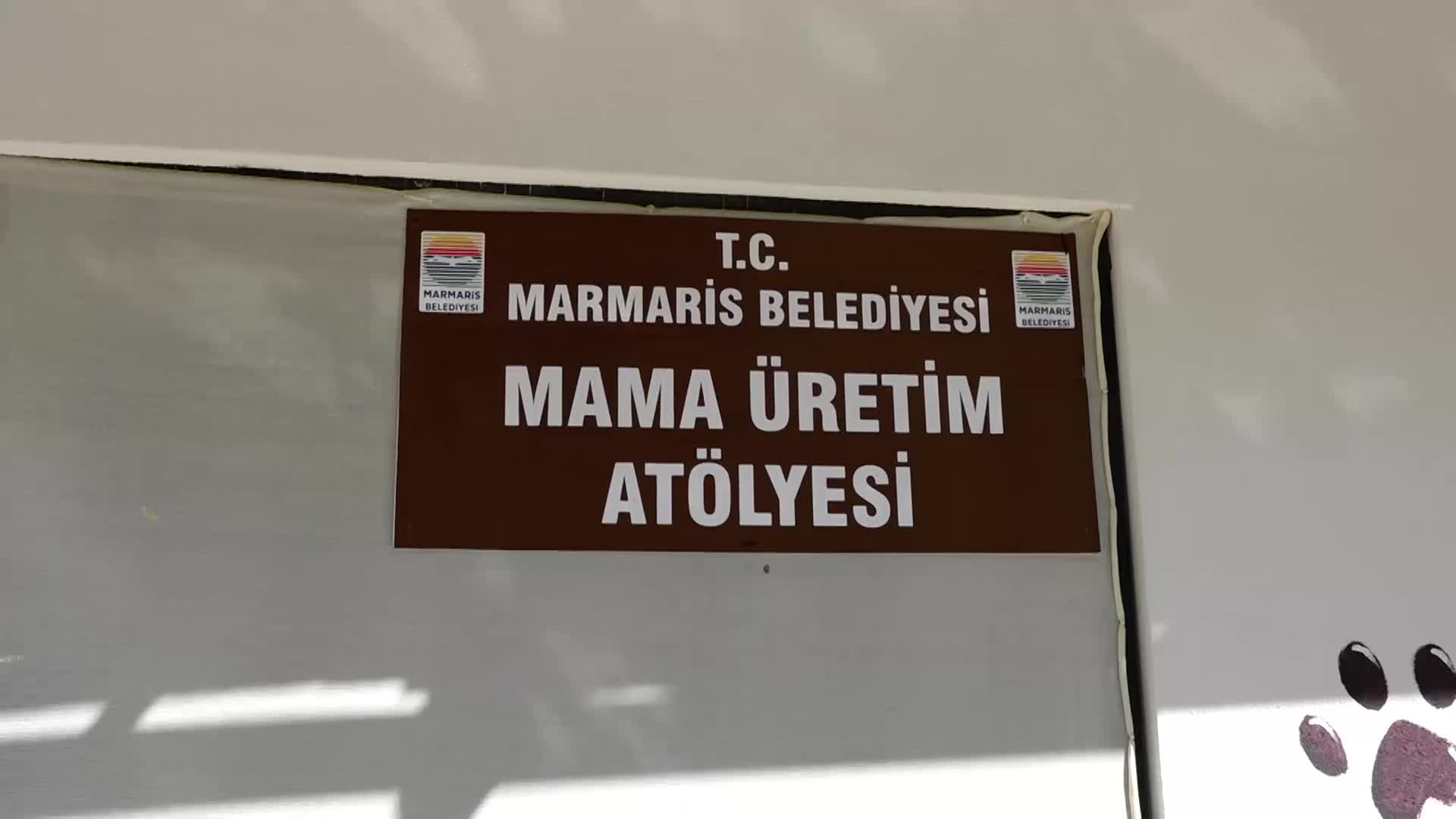 MARMARİS'TE GIDA ATIKLARI PATİLİ DOSTLARA MAMA OLACAK