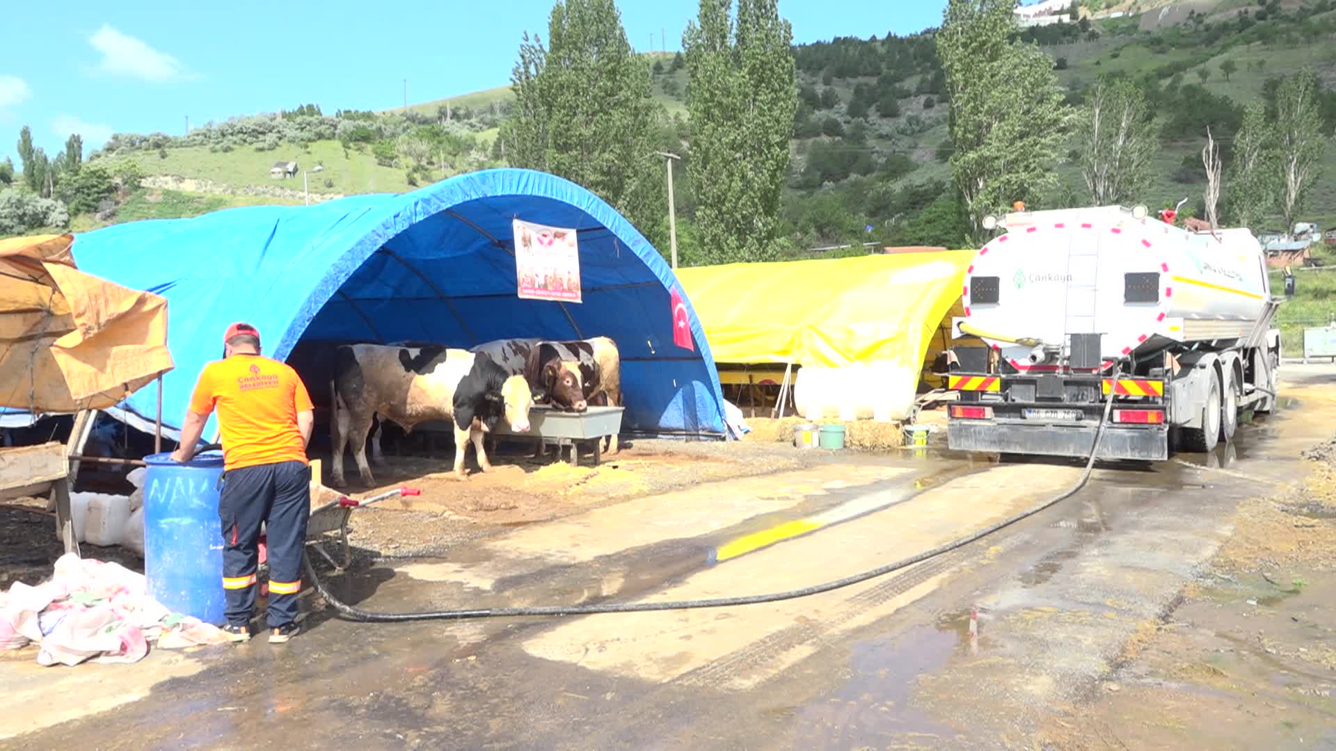 ÇANKAYA BELEDİYESİ'NİN KURBAN SATIŞ VE KESİM ALANI BAYRAMA HAZIRLANIYOR