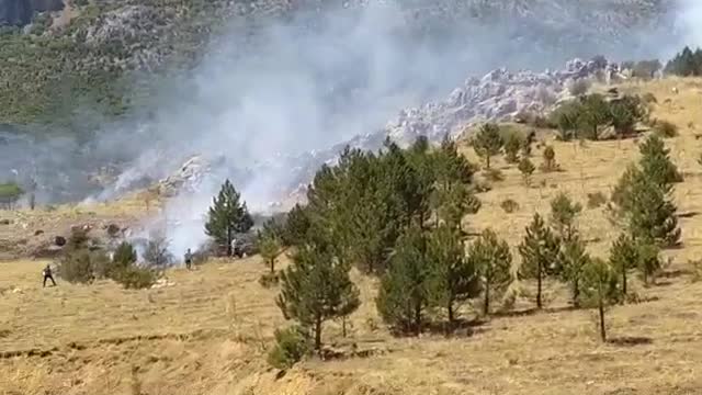SEYDİŞEHİR’DE ORMAN YANGINI