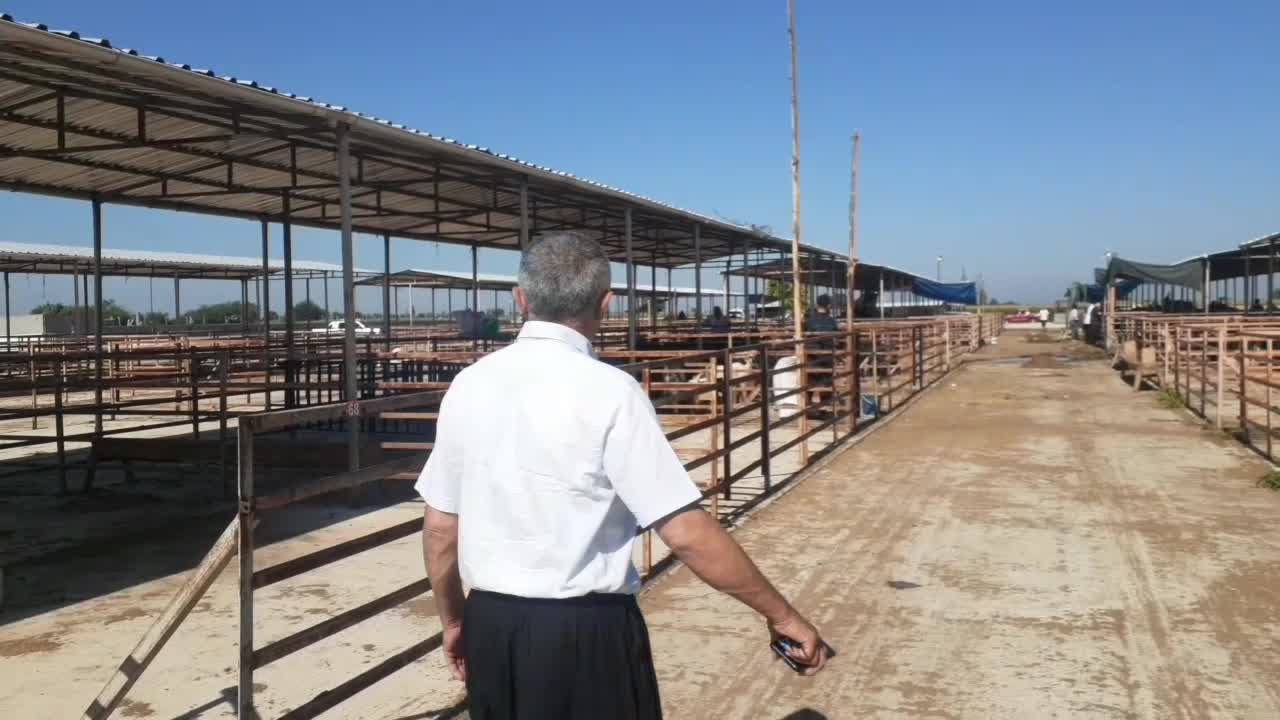 OSMANİYE'NİN KADİRLİ İLÇESİNDE BESİCİLİK YAPAN FINDIK: "BAKIM AZ, BESİ AZALDI. GEÇEN SENE KURBAN PAZARININ HEPSİ DOLUYDU, BU SENE ÇOK AZ"