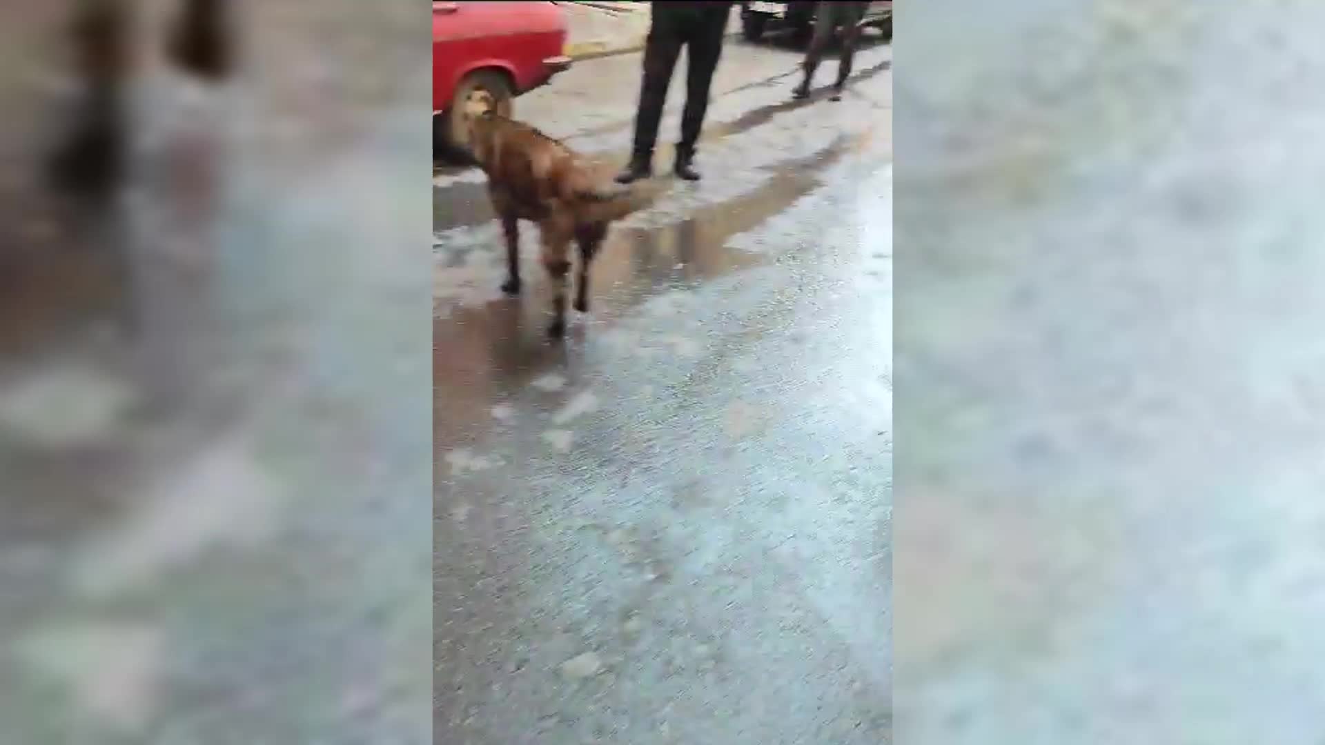 PENDİK'TE KAPORTA BOYAMA ATÖLYESİNDE MEYDANA GELEN PATLAMA SONRASI ÇIKAN YANGINDA 2'Sİ İTFAİYE ERİ OLMAK ÜZERE 7 KİŞİ DUMANDAN EKİLENDİ