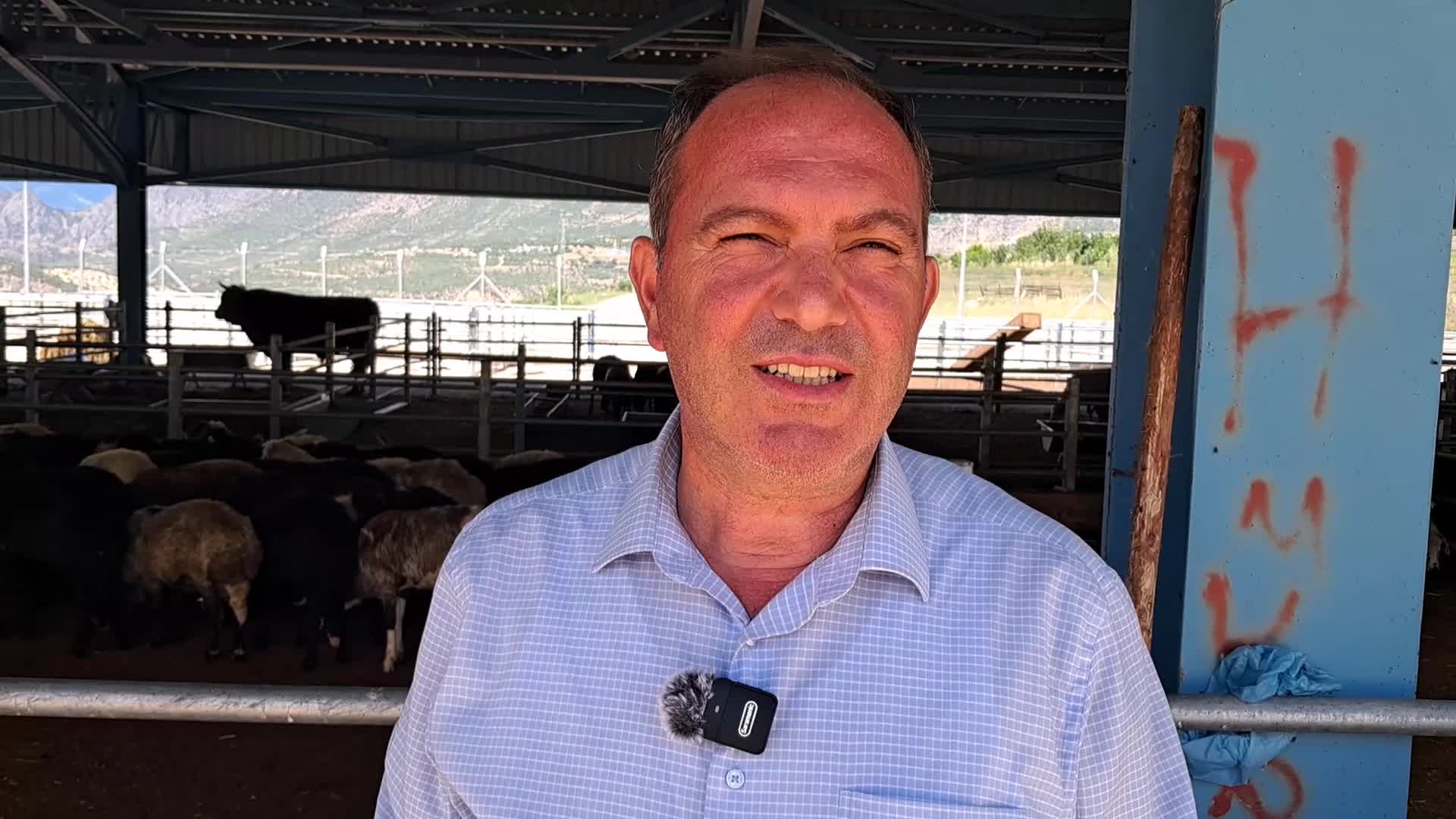 ARDANUÇ HAYVAN PAZARINDA KURBANLIKLARINI SATAMAYAN BESİCİ: "ELİMİZDE KALAN HAYVANLARI MECBUREN ALIP KÖYÜME GÖTÜRECEĞİM"