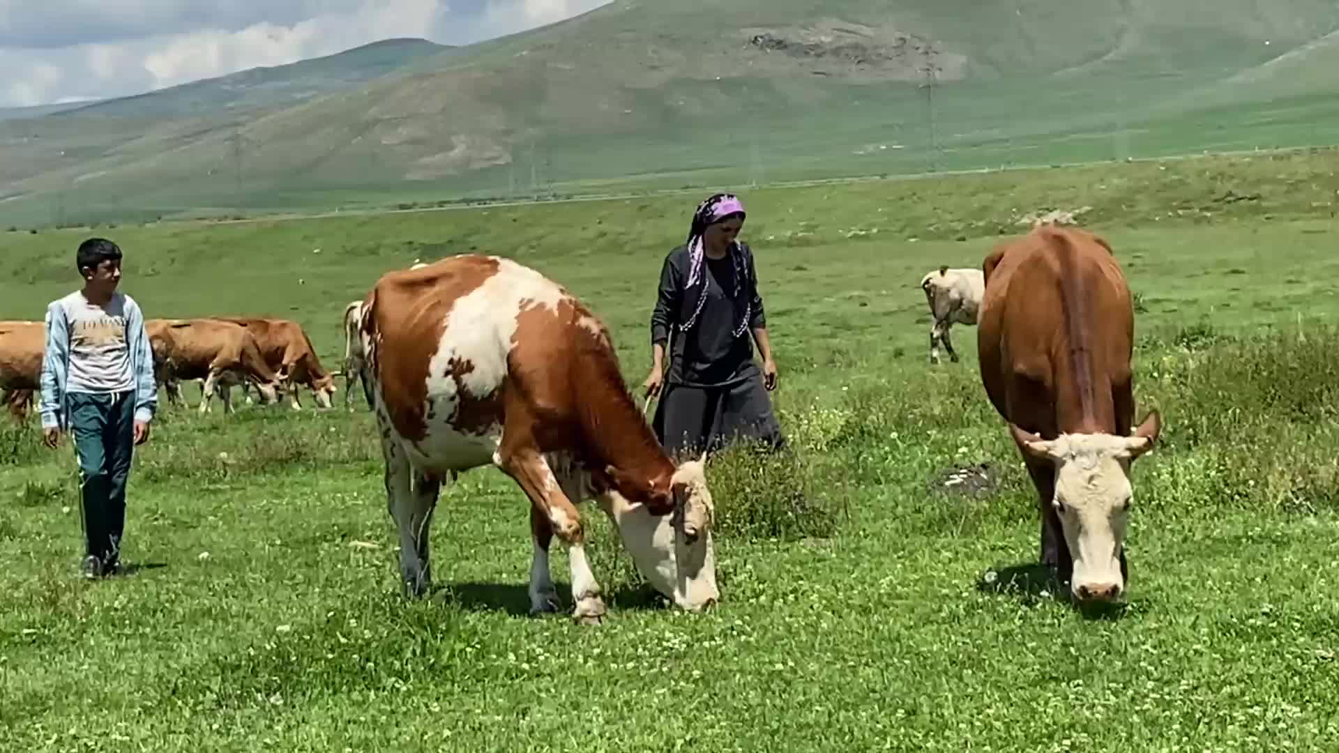 ARDAHAN ZİRAAT ODASI BAŞKANI SURAL: "ŞAP NEDENİYLE ÖLEN HAYVANLAR İÇİN TAZMİNAT ÖDENSİN"