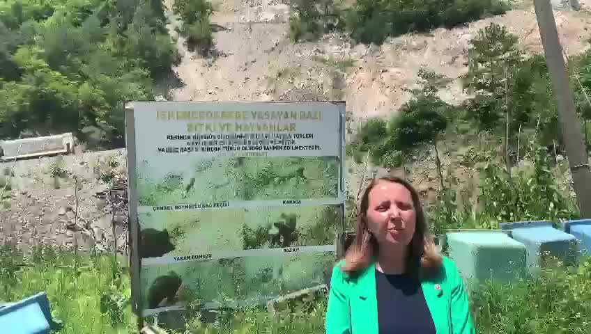 SEMRA DİNÇER RİZE İKİZDERE’DE: "DOĞAYI HER GEÇEN GÜN KATLETMEYE DEVAM EDİYORLAR, RANT İÇİN, ÇIKAR İÇİN”
