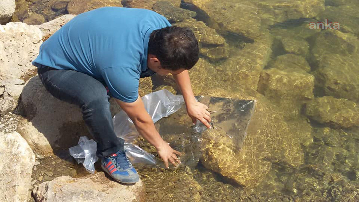 SEYDİŞEHİR’DE GÖLETLERE 35 BİN BALIK SALINDI