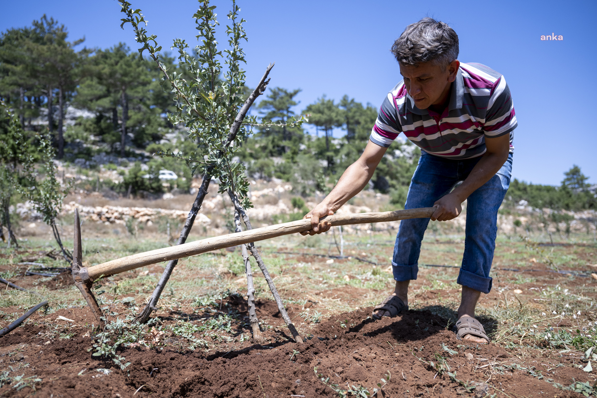 MERSİN BÜYÜKŞEHİR’İN TARIMSAL DESTEKLERİ DEVAM EDİYOR