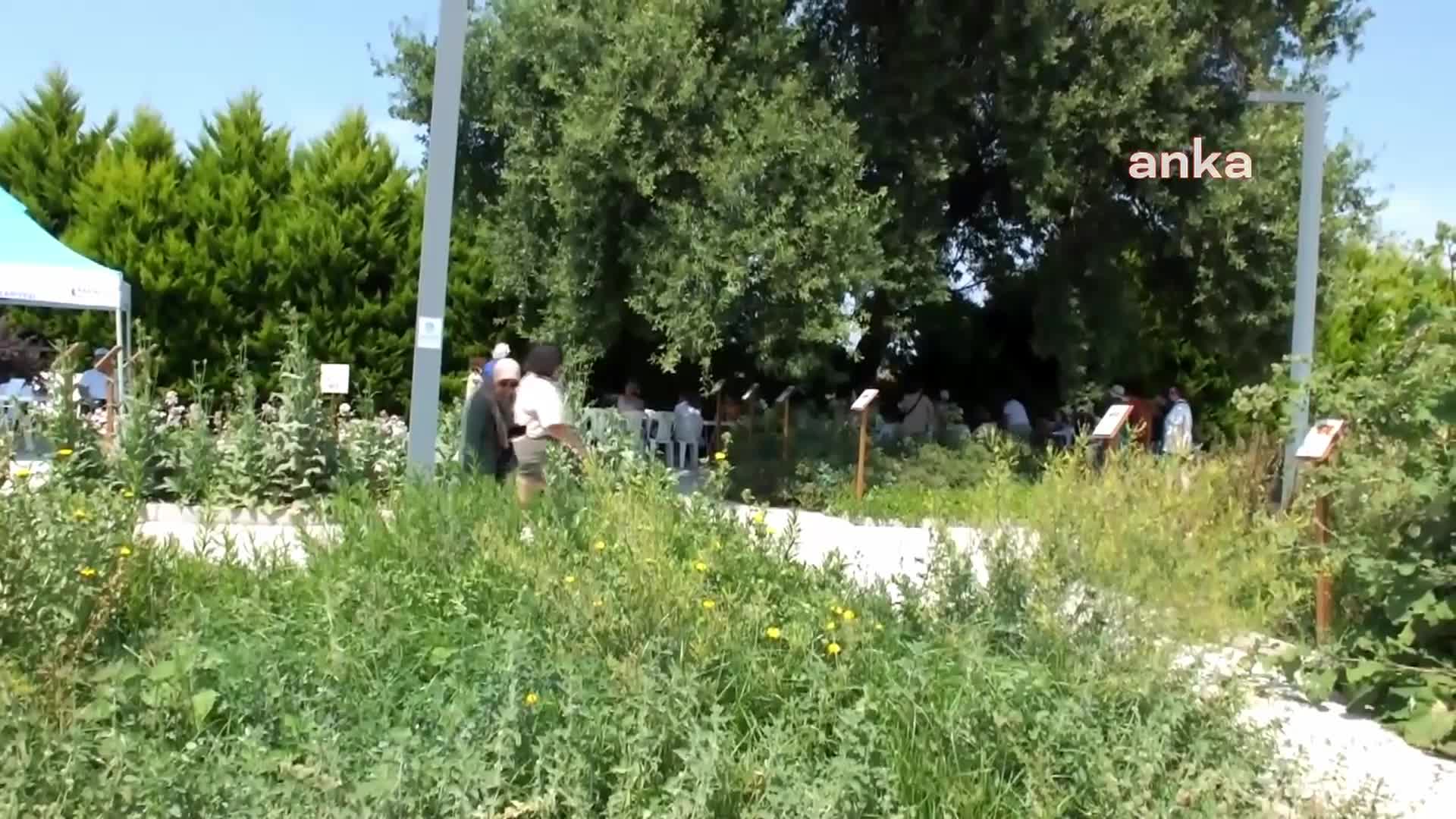 4. BALIKESİR AROMATERAPİ FESTİVALİ BURHANİYE'DE BAŞLADI