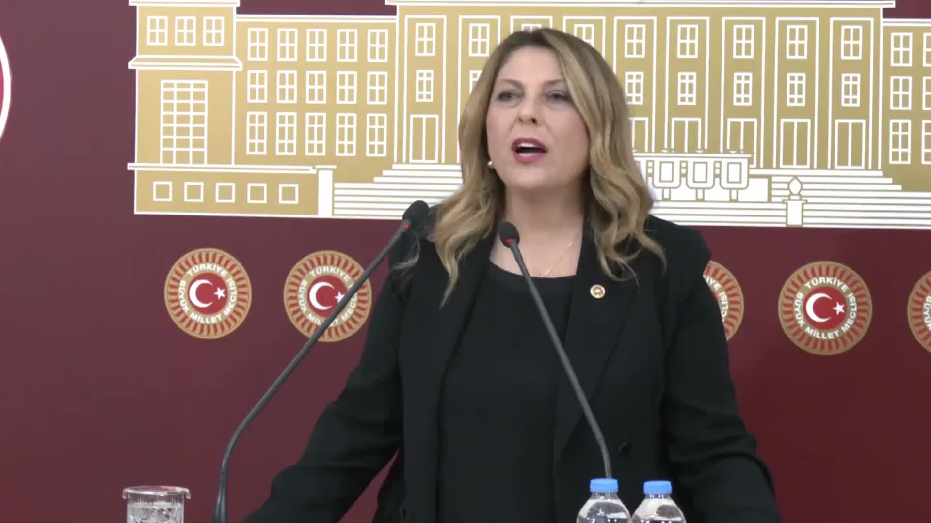 ELVAN IŞIK GEZMİŞ: “FINDIK FİYATININ EN GEÇ 20 TEMMUZ’DA VE 105 TL OLARAK AÇIKLANMASI TÜM FINDIK BÖLGESİ ADINA TALEP EDİYORUM”