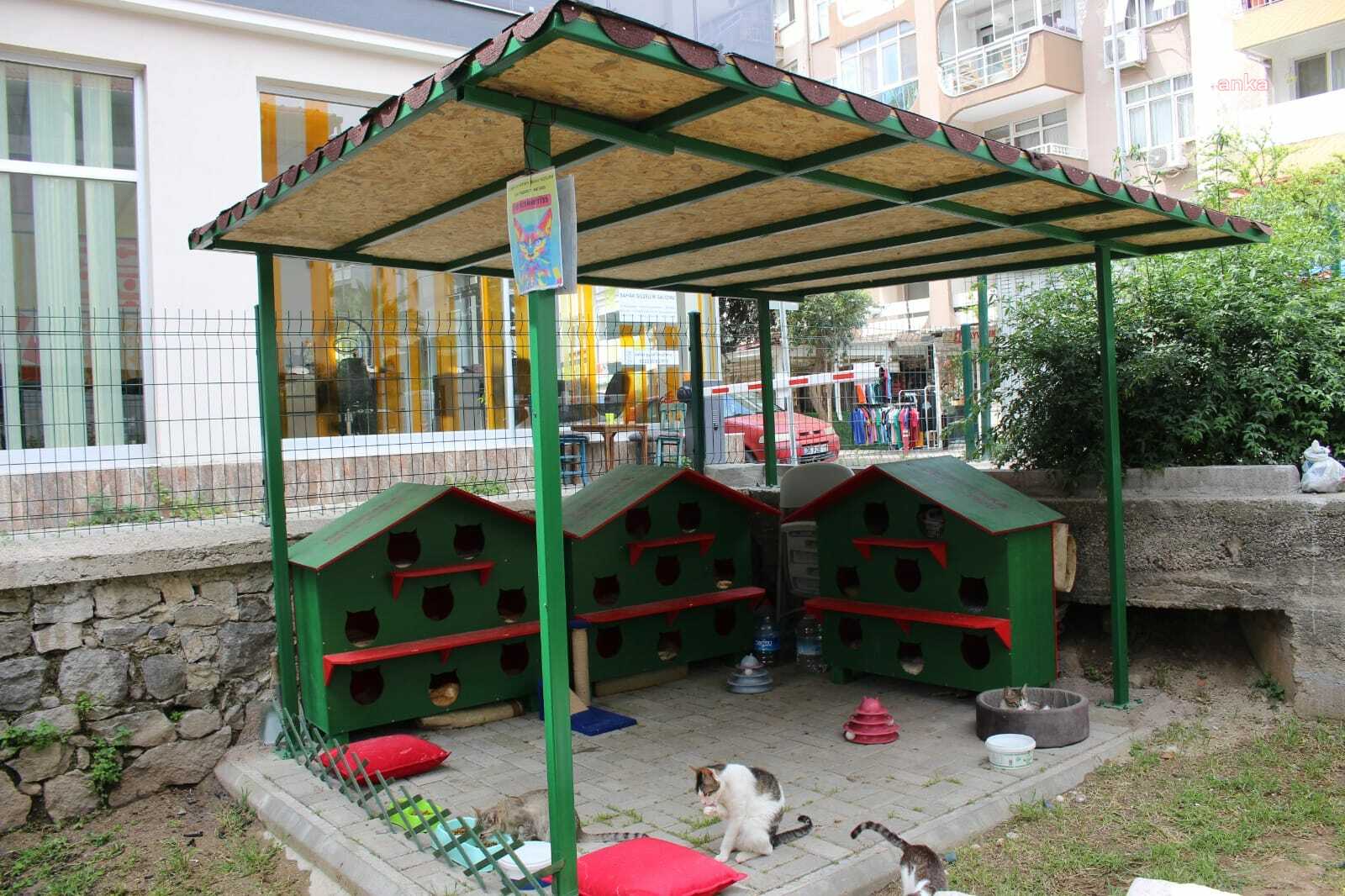 ZÜBEYDE HANIM PARKI’NIN KEDİLERİ YENİ EVLERİNE KAVUŞTU