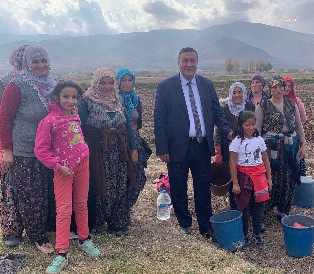 ÖMER FETHİ GÜRER: “TARIM SEKTÖRÜNDE İSTİHDAM 115 BİN KİŞİ AZALDI”