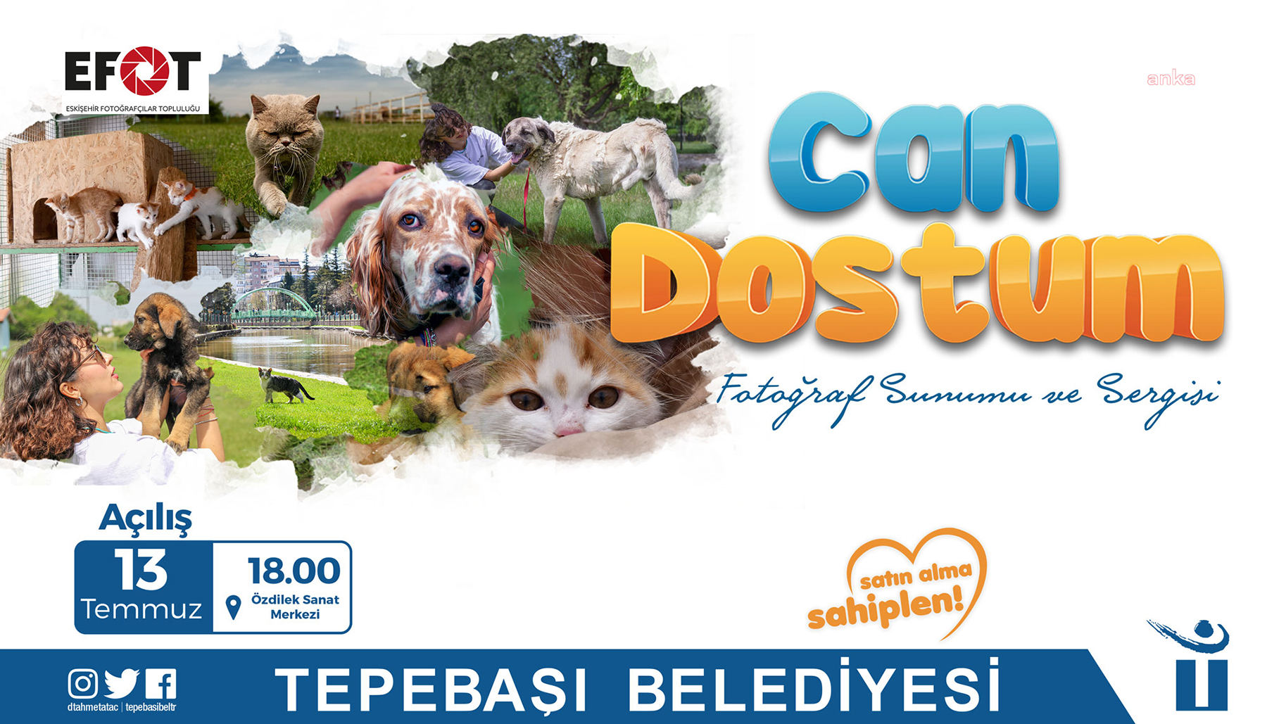 TEPEBAŞI BELEDİYESİ’NDEN CAN DOSTLARA ÖZEL FOTOĞRAF SERGİSİ