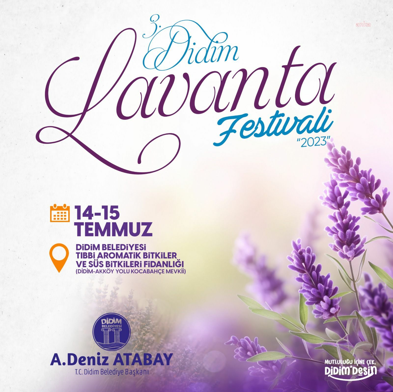 DİDİM LAVANTA FESTİVALİNE SAYILI GÜNLER KALDI