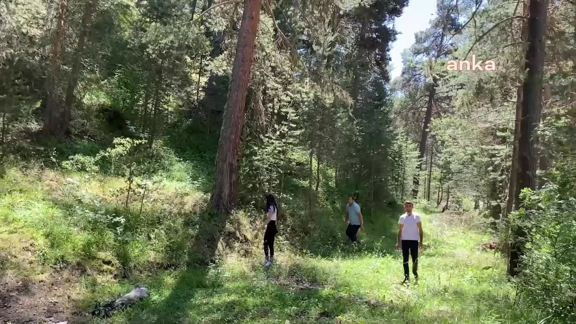 TÜRKİYE’NİN EN KALİTELİ SALEP ORKİDESİ YOZGAT’TA YETİŞİYOR