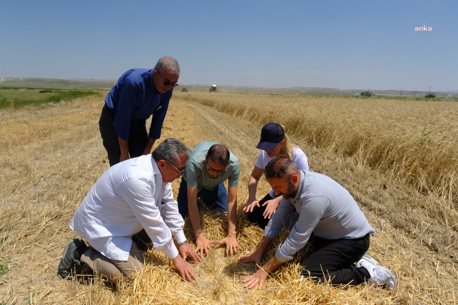 ESKİŞEHİR BÜYÜKŞEHİR'DEN KÜÇÜK ÇİFTÇİYE KAZANDIRAN DESTEK