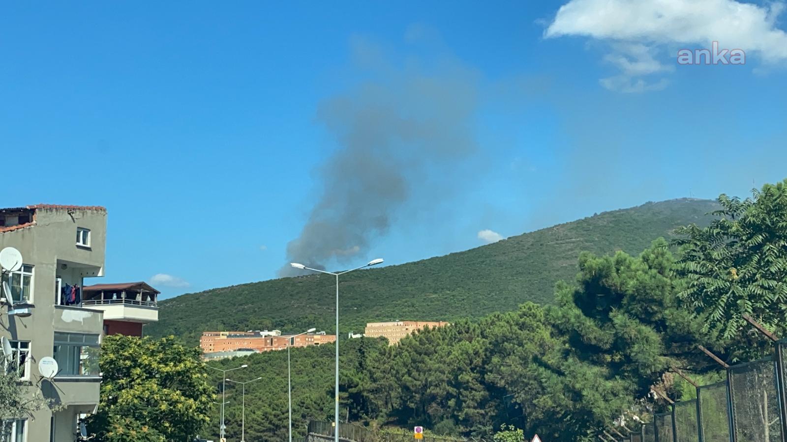 İSTANBUL’DA ORMAN YANGINI
