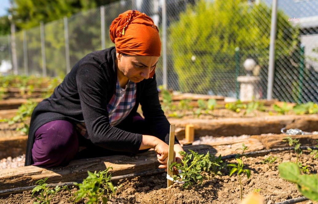 İZMİR BÜYÜKŞEHİR BELEDİYESİ, BUCA’DA MAHALLE BOSTANI KURDU