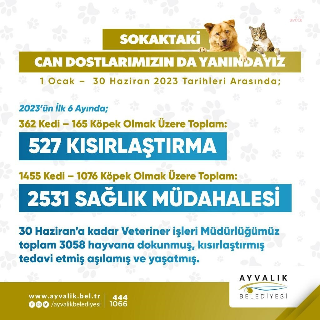 AYVALIK BELEDİYESİ SOKAKTAKİ CAN DOSTLARIN DA YANINDA
