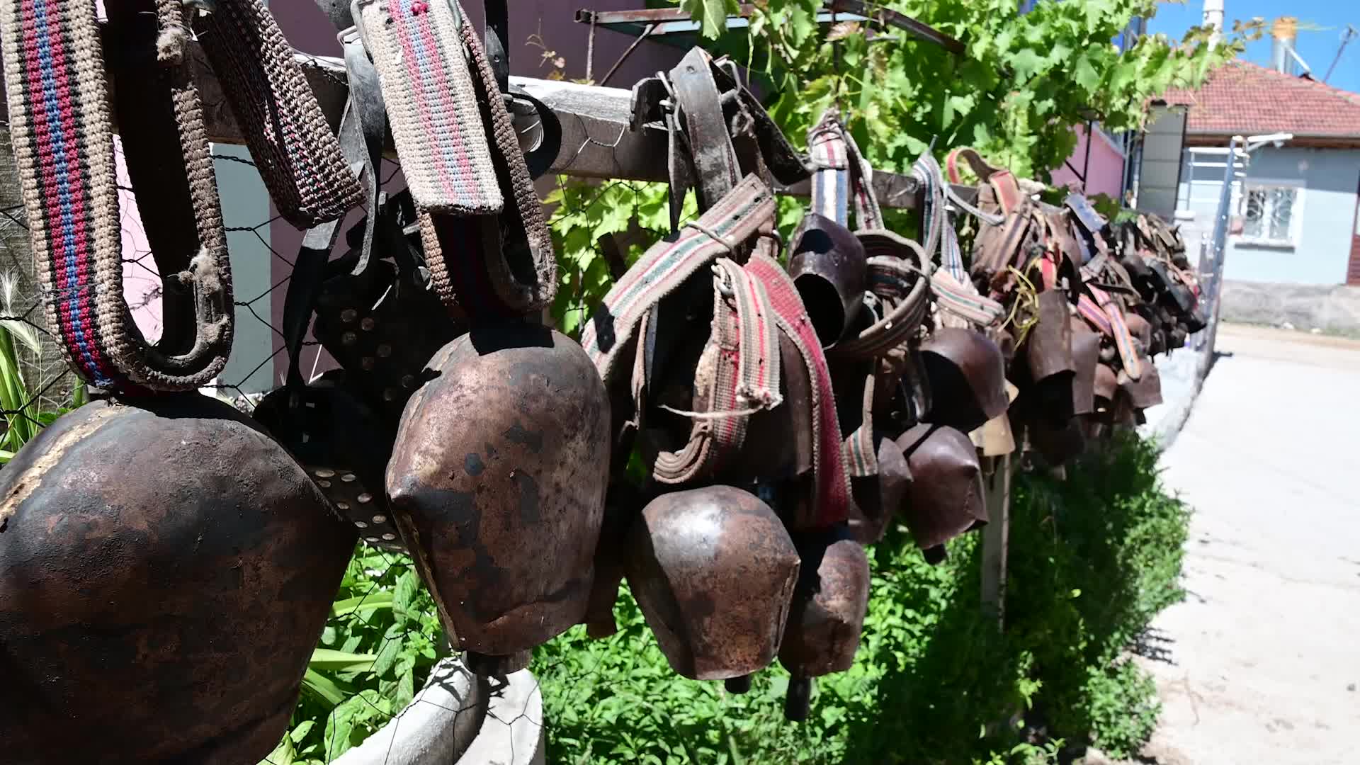 YOZGATLI BESİCİ; KOYUN VE KEÇİLERE TAKILAN TONGURDAKLARDAN KOLEKSİYON YAPTI