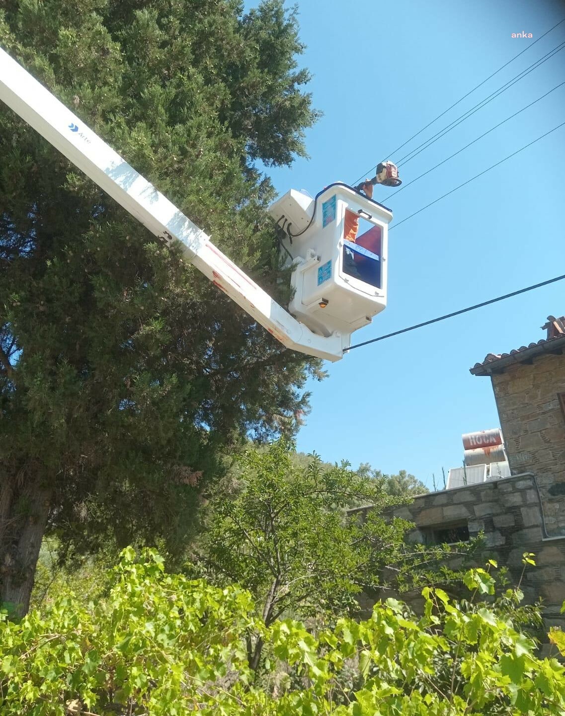 MARMARİS'TE YANGINLARA KARŞI BUDAMA ÖNLEMİ