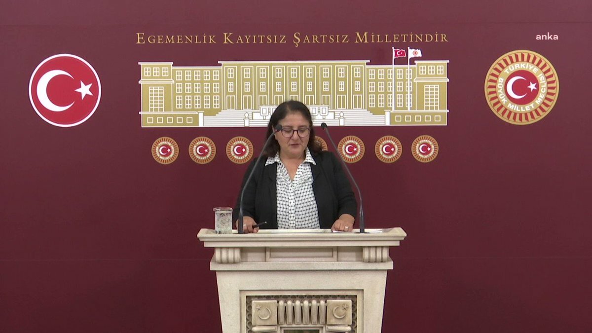 AYTEN KORDU’DAN BAKAN GÖKTAŞ’A: “KADIN SIĞINMA EVLERİNDEKİ KAPASİTE SORUNUN ÇÖZÜNE YÖNELİK BİR PLANLAMANIZ VAR MI”