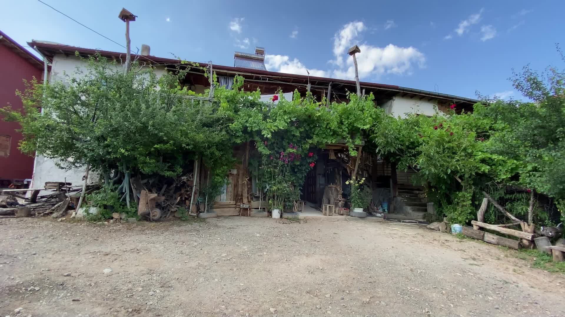 YOZGAT’TA AĞAÇ KÖKLERİNDEN SÜS EŞYASI, DALLARINDAN BASTON YAPAN USTA, SERGİ SALONUNA KAVUŞTU